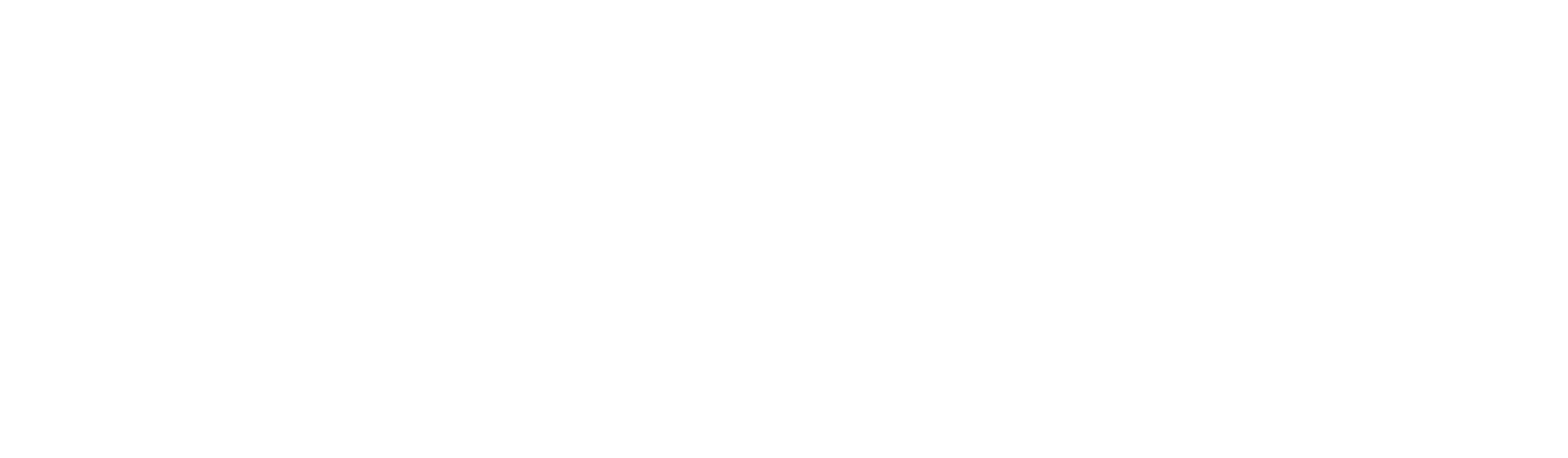 fidigy logo